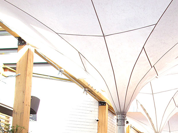 Umbrella